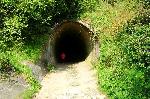 Chapowo - rezerwat Dolina Chapowska - przejcie tunelem pod drog