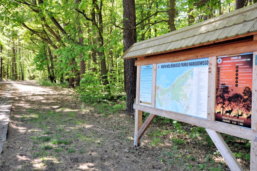 OW STA - granica orodka z Woliskim Parkiem Narodowym
