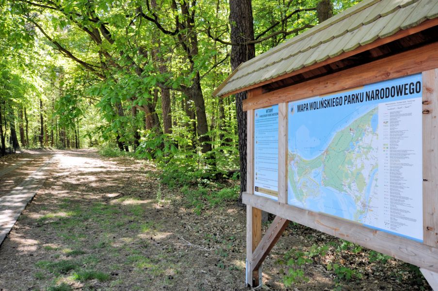 OW STA - Woliski Park Narodowy - na granicy z orodkiem